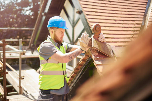 Best Metal Roofing Contractor  in Grant City, MO